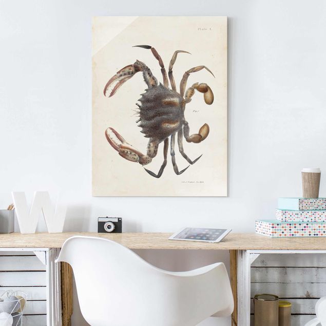 Glasschilderijen Vintage Illustration Crab