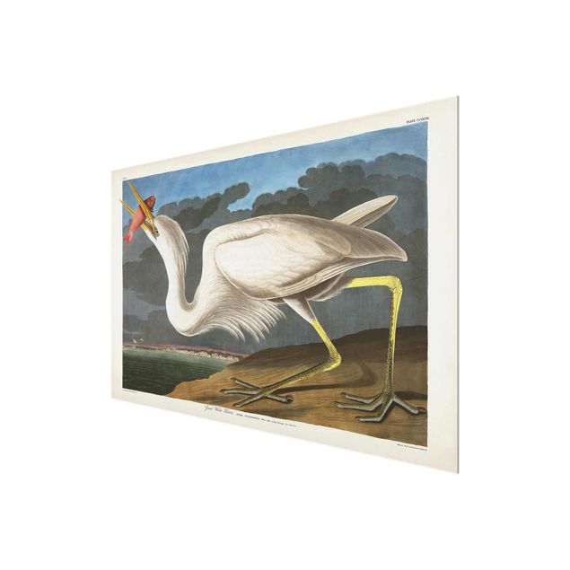 Glasschilderijen Vintage Board Great White Egret