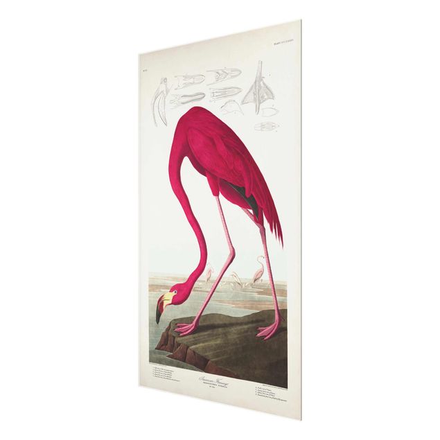 Glasschilderijen Vintage Board American Flamingo