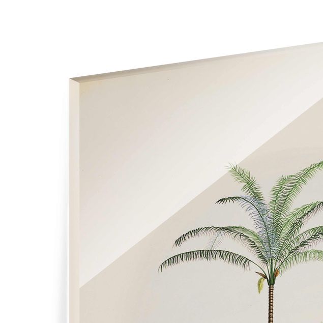 Glasschilderijen Zebra Front Of Palm Trees Illustration