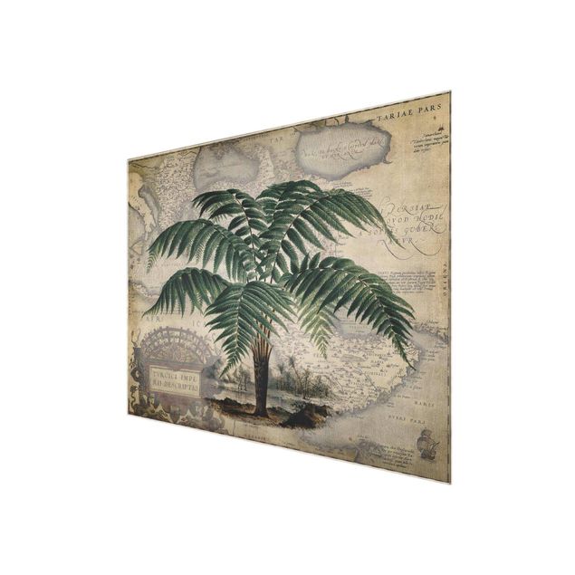 Glasschilderijen Vintage Collage - Palm And World Map