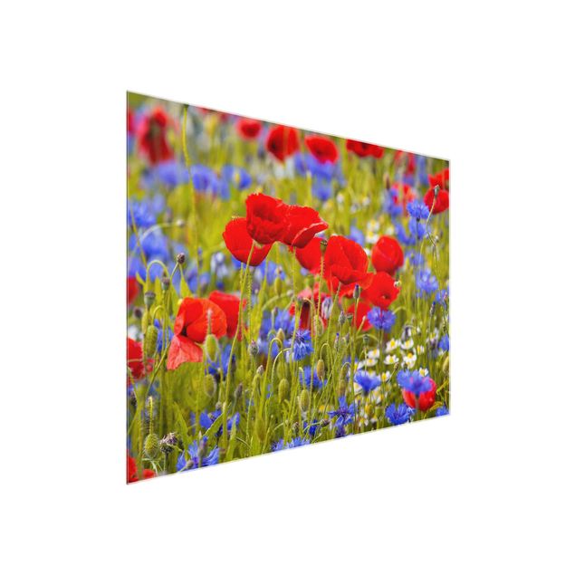 Glasschilderijen Summer Meadow With Poppies And Cornflowers