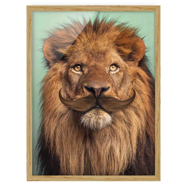 Ingelijste posters Lion With Beard