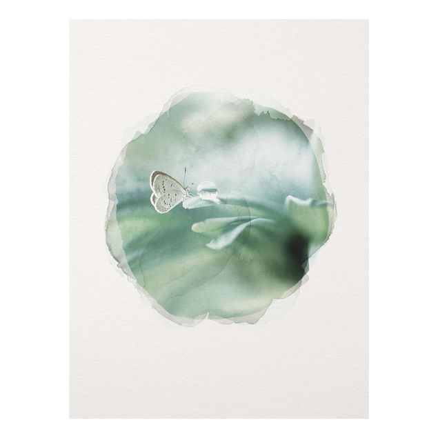 Glasschilderijen WaterColours - Butterfly And Dew Drops In Pastel Green