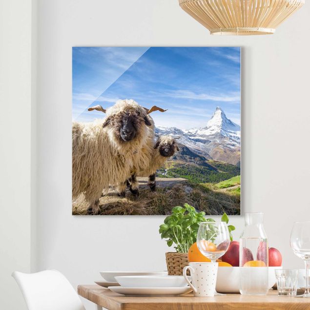 Glas Magnettafel Blacknose Sheep Of Zermatt