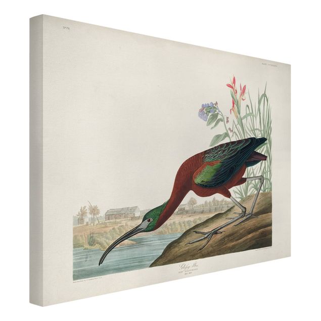 Canvas schilderijen Vintage Board Brown Ibis