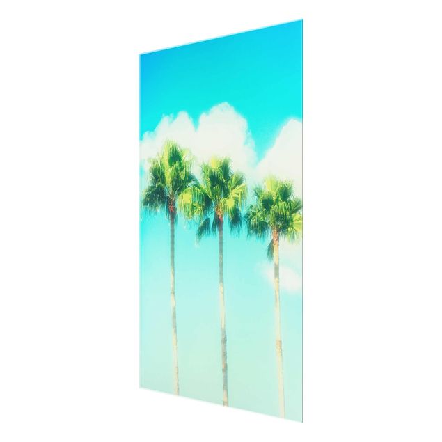 Glasschilderijen Palm Trees Against Blue Sky
