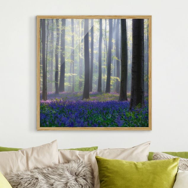 Ingelijste posters Spring Day In The Forest