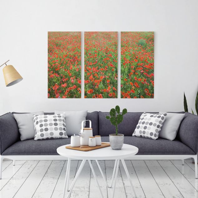 Canvas schilderijen - 3-delig Poppy Field