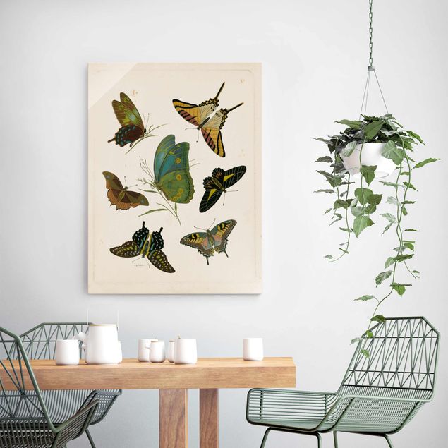 Glasschilderijen Vintage Illustration Exotic Butterflies
