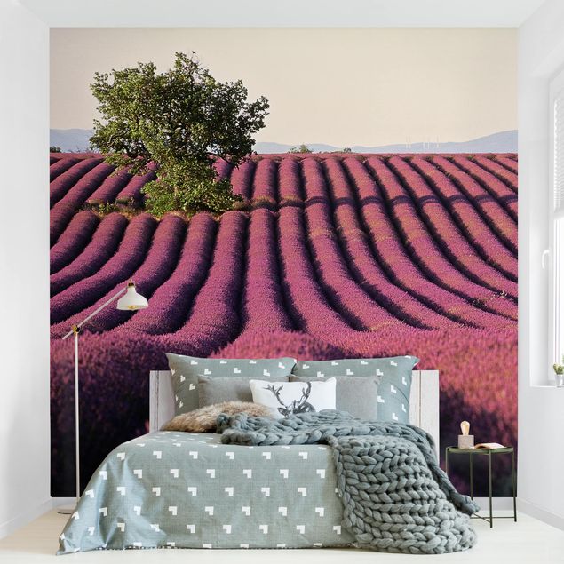 Fotobehang Lavender