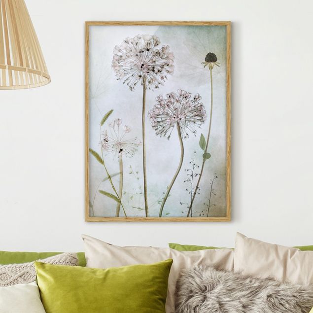 Ingelijste posters Allium flowers in pastel
