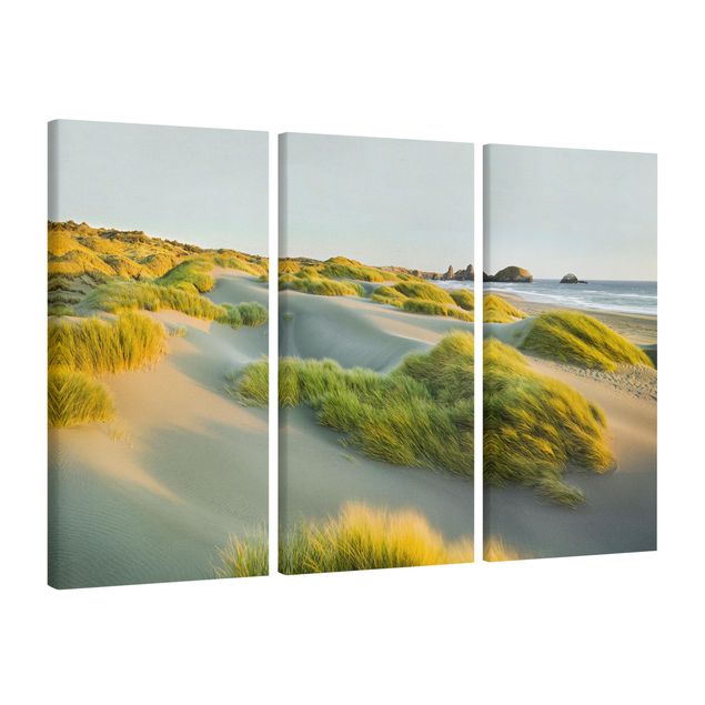 Canvas schilderijen - 3-delig Dunes And Grasses At The Sea
