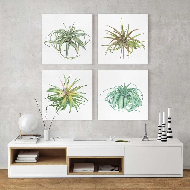 Canvas schilderijen - 4-delig Air Plant Watercolour Set I