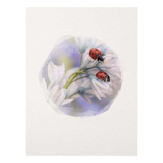Glasschilderijen Water Colours - Ladybug Couple