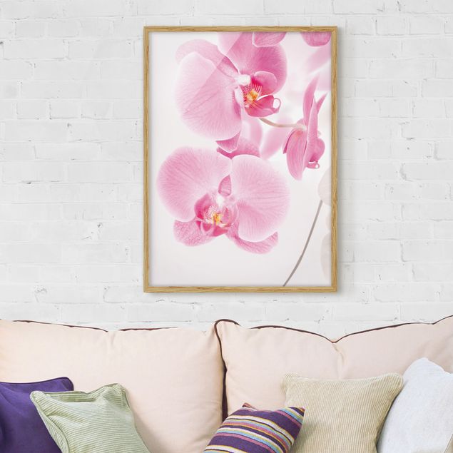 Ingelijste posters Delicate Orchids