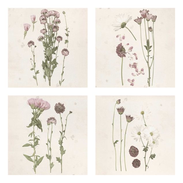 Canvas schilderijen - 4-delig Herbarium In Pink Set I