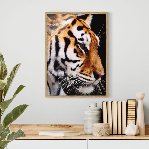 Ingelijste posters Tiger Beauty