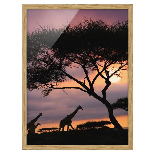 Ingelijste posters African Safari