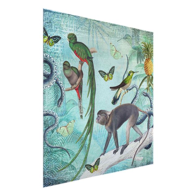 Glasschilderijen Colonial Style Collage - Monkeys And Birds Of Paradise