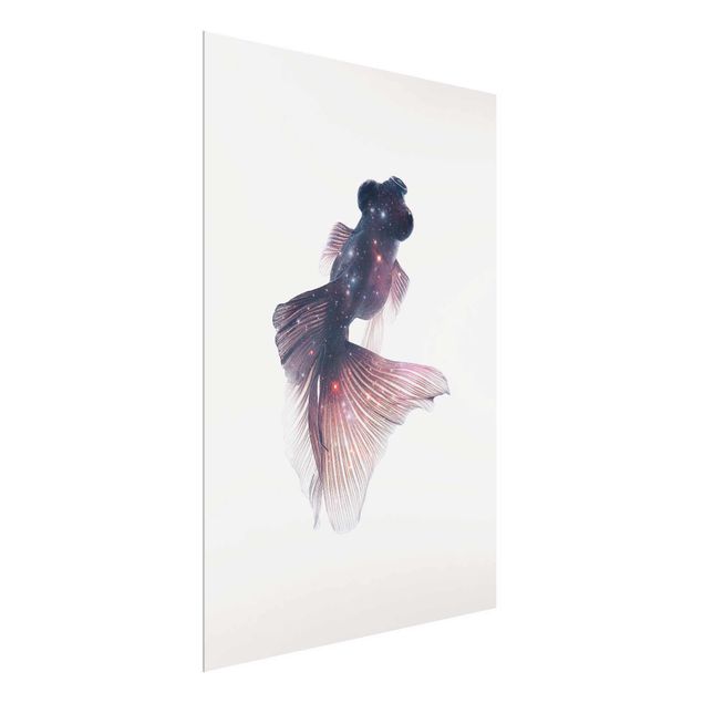 Glasschilderijen Fish With Galaxy