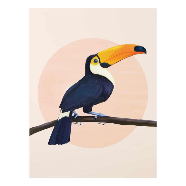 Glasschilderijen Illustration Bird Toucan Painting Pastel