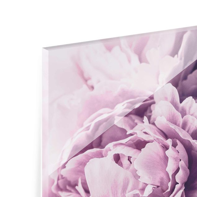 Glasschilderijen Purple Peony Blossoms