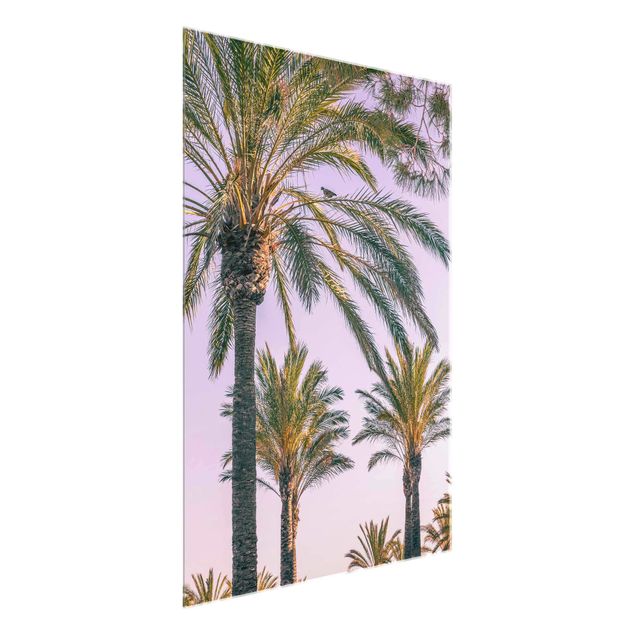 Glasschilderijen Palm Trees At Sunset