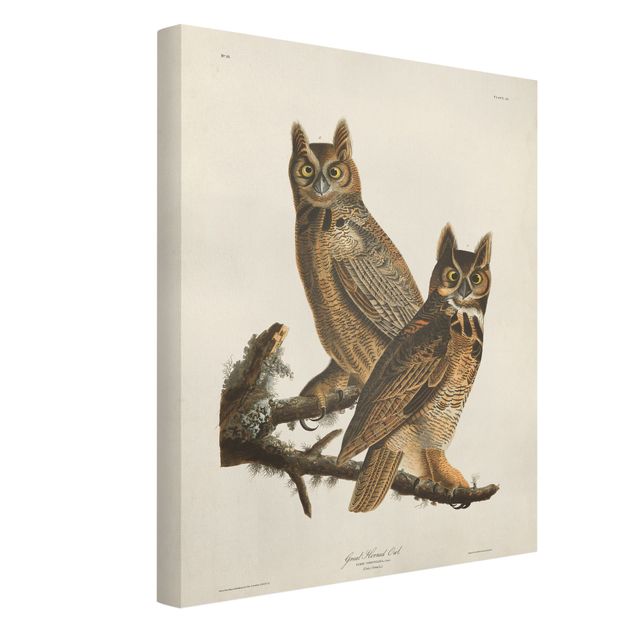 Canvas schilderijen Vintage Board Two Large Owls