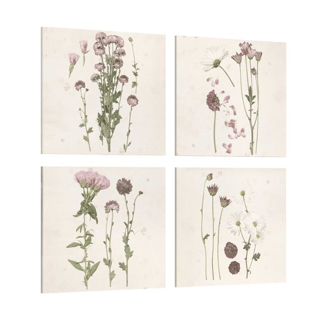 Canvas schilderijen - 4-delig Herbarium In Pink Set I