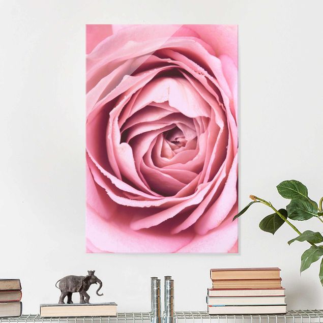 Glasschilderijen Pink Rose Blossom