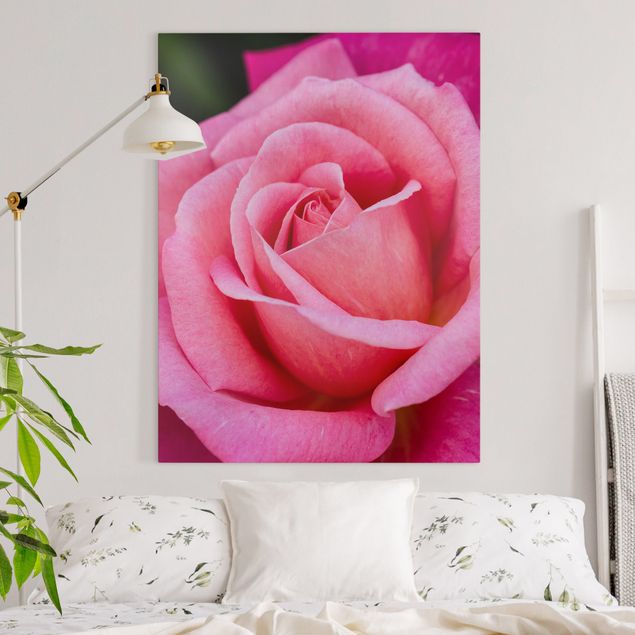 Canvas schilderijen Pink Rose Flowers Green Backdrop