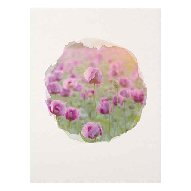 Glasschilderijen WaterColours - Violet Poppy Flowers Meadow In Spring
