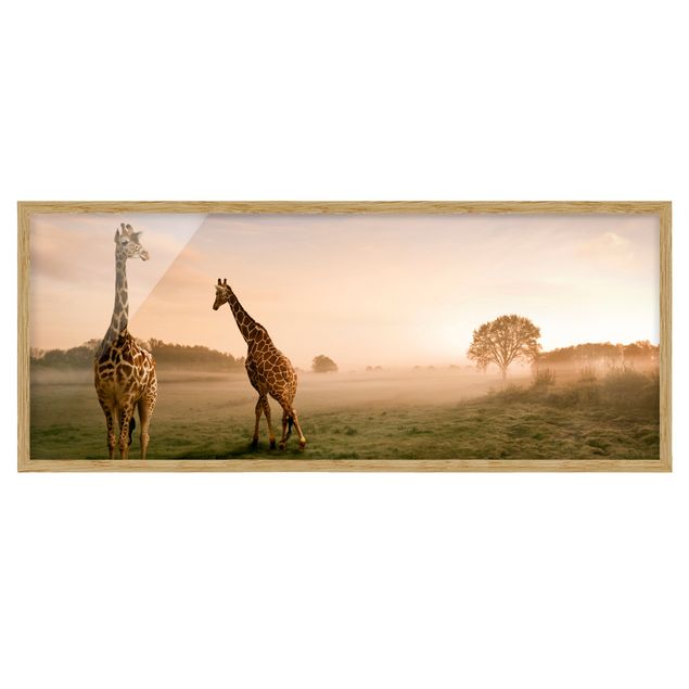 Ingelijste posters Surreal Giraffes