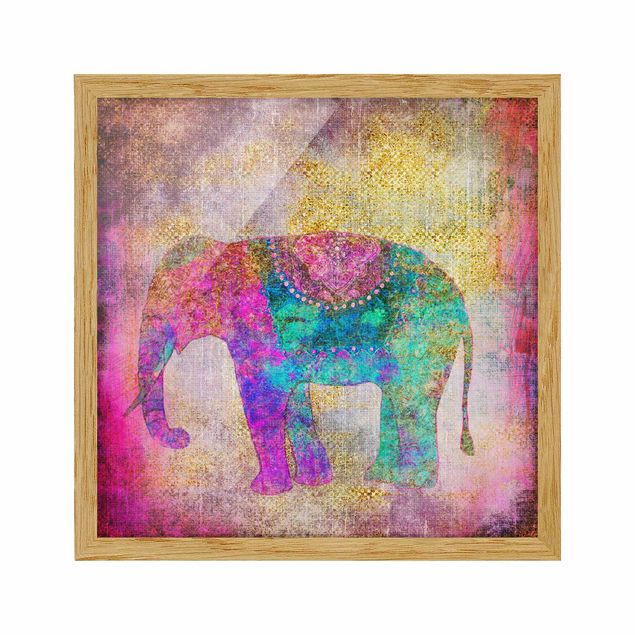 Ingelijste posters Colourful Collage - Indian Elephant