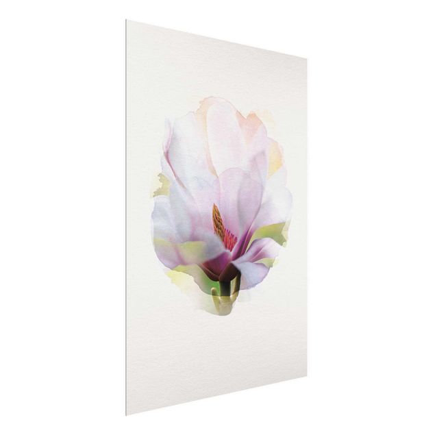 Glasschilderijen WaterColours - Delicate Magnolia Blossom