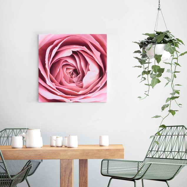 Magnettafel Glas Pink Rose Blossom