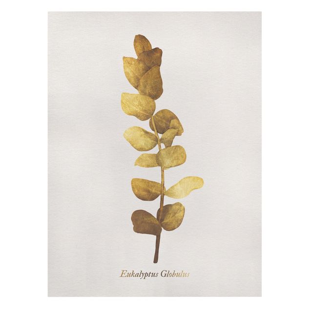 Canvas schilderijen Gold - Eucalyptus
