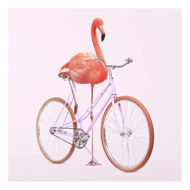 Glasschilderijen Flamingo With Bicycle