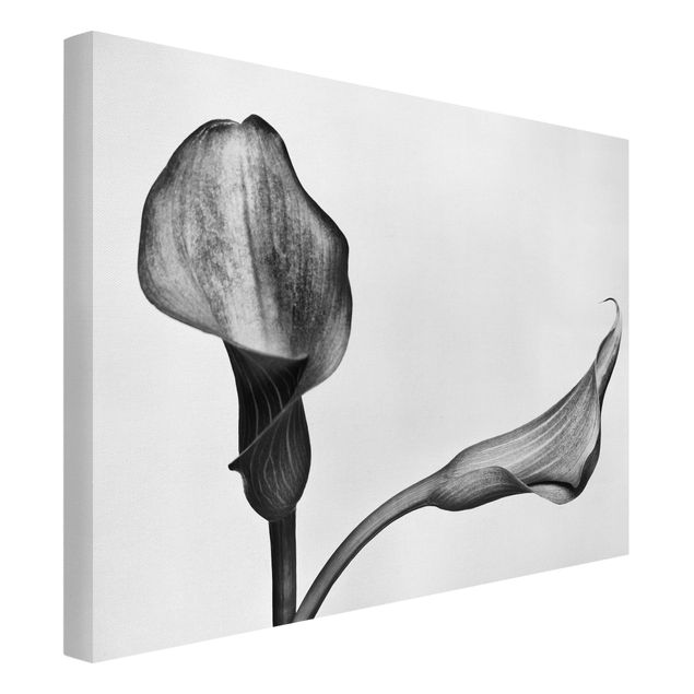 Canvas schilderijen Calla Close-Up Black And White
