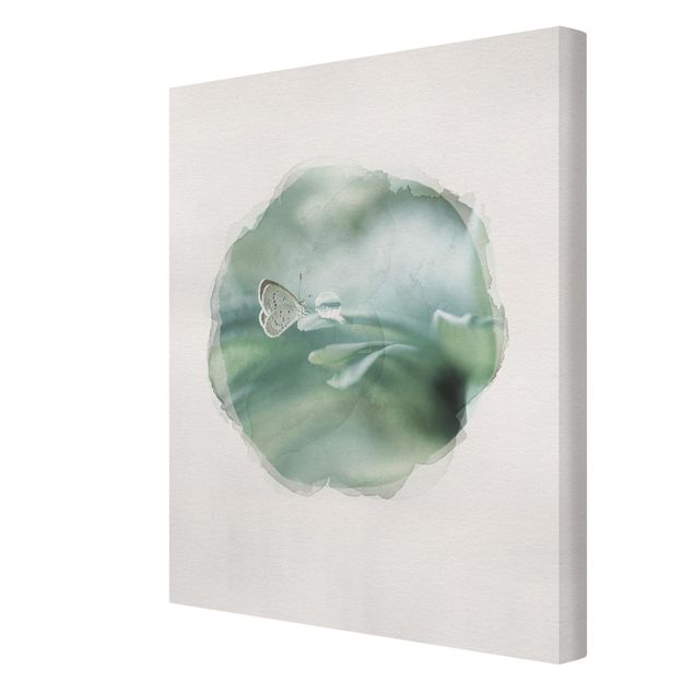 Canvas schilderijen WaterColours - Butterfly And Dew Drops In Pastel Green