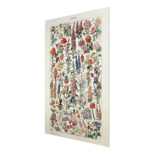 Glasschilderijen Vintage Board Flowers V