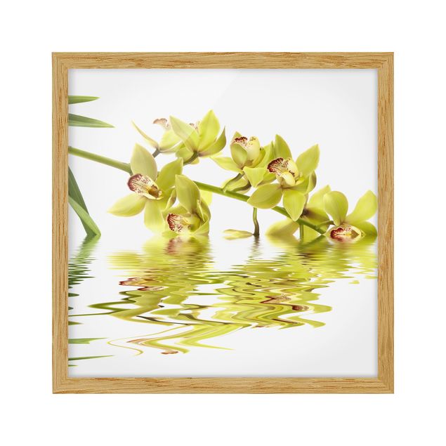 Ingelijste posters Elegant Orchid Waters