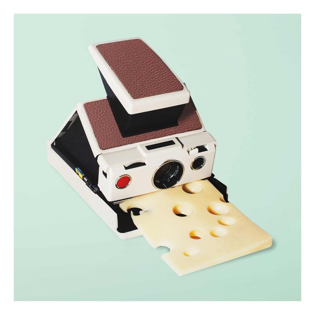 Glasschilderijen Camera With Cheese