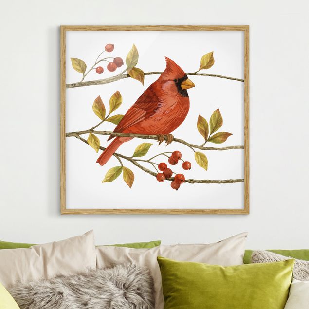 Ingelijste posters Birds And Berries - Northern Cardinal