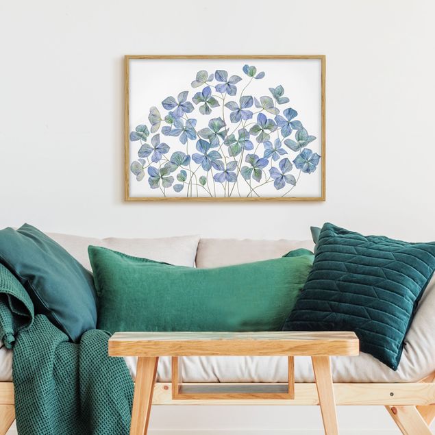 Ingelijste posters Blue Hydrangea Flowers