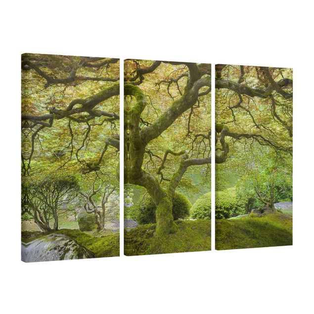 Canvas schilderijen - 3-delig Green Japanese Garden