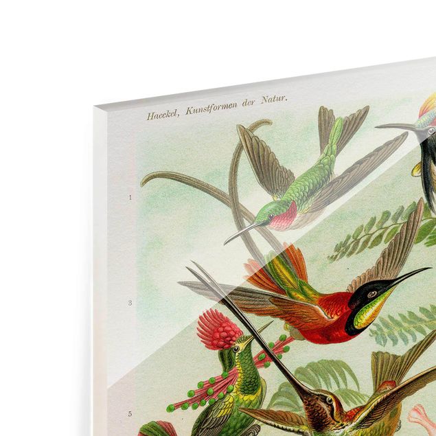 Glasschilderijen Vintage Board Hummingbirds
