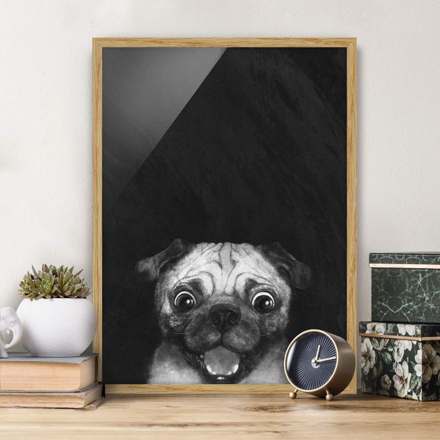 Ingelijste posters Illustration Dog Pug Painting On Black And White