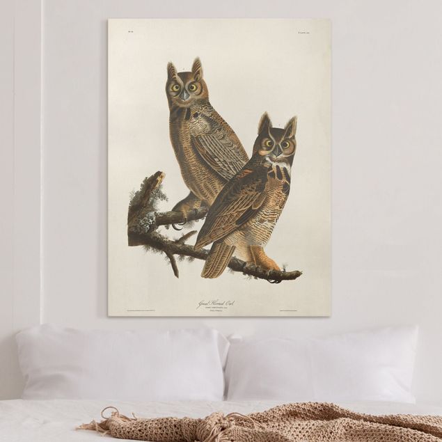 Canvas schilderijen Vintage Board Two Large Owls